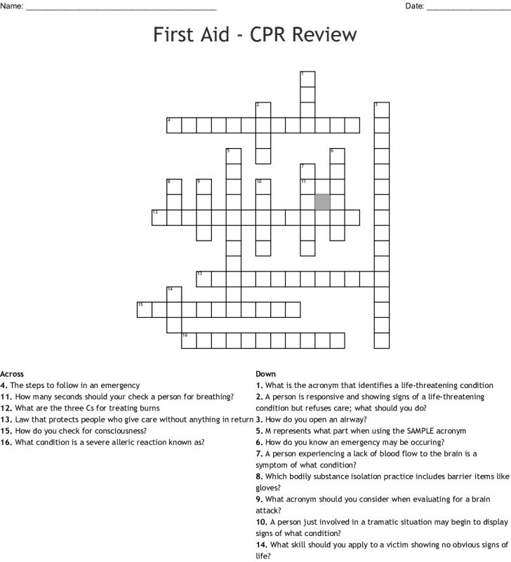 CPR Review Crossword Printable