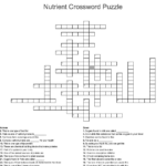 Nutrition Chapter 8 Crossword Wordmint Nutrition Printable Puzzle