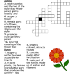 Easter Lily Care And Meaning: Everything You Need To Know Within Easter Flower Lily Crossword Puzzles Clue