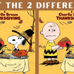 Spot The Difference: Charlie Brown Thanksgiving In Charlie Brown Thanksgiving Puzzle