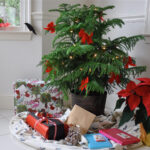 15 Of The Best Christmas Plants | Bbc Gardeners World Magazine Pertaining To Popular Christmas House Plant Crossword