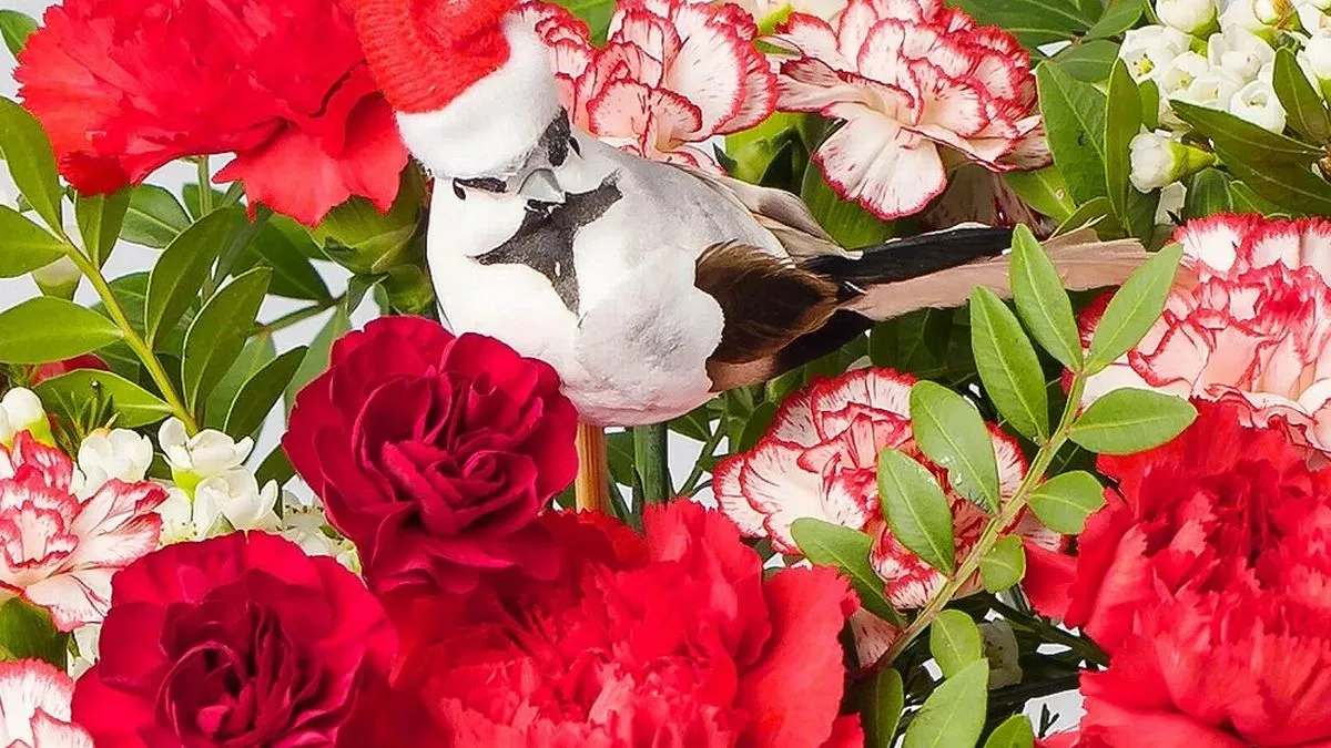 beautiful 27 christmas flowers delivered from family run florist with a beautiful red flower christmas crossword Beautiful' £27 Christmas Flowers Delivered From Family-Run Florist with A Beautiful Red Flower Christmas Crossword