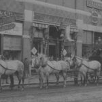 Before Trains And Autos, Stagecoaches Traversed The Midcoast Pertaining To Horse Drawn Carriages Delivering Christmas Trees Crossword Clue