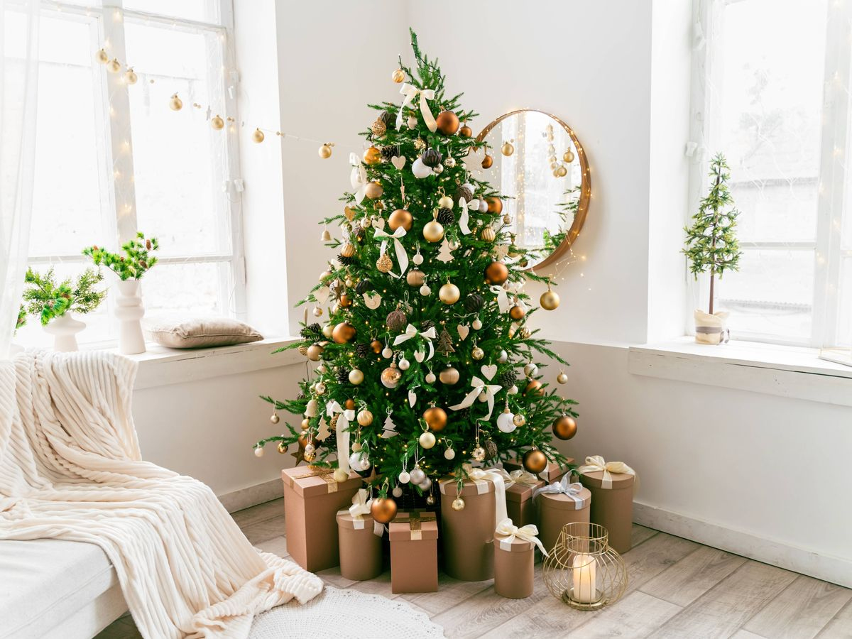 Brits Are Just Realising Reason We Put Up Christmas Trees During with Embellish Like A Christmas Tree Crossword