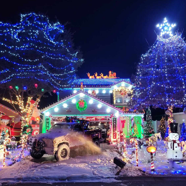 Kansas City Christmas Tree Crossword Clue