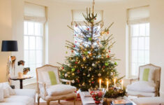 Do Not Put Your Christmas Tree In A Bay Window' This Year Warning within Christmas Tree Trim Crossword