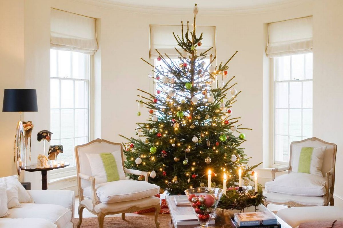 do not put your christmas tree in a bay window this year warning within christmas tree trim crossword Do Not Put Your Christmas Tree In A Bay Window' This Year Warning within Christmas Tree Trim Crossword