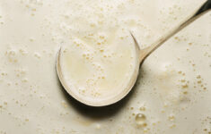 Eggnog The Hard Way – The New York Times with regard to Eggy Christmas Drink Crossword