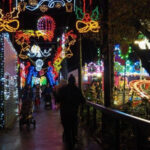 Five Sisters Zoo Will Flip The Switch On Christmas Lights Within Christmas Light Locale Crossword