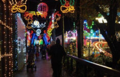 Five Sisters Zoo Will Flip The Switch On Christmas Lights within Christmas Light Locale Crossword