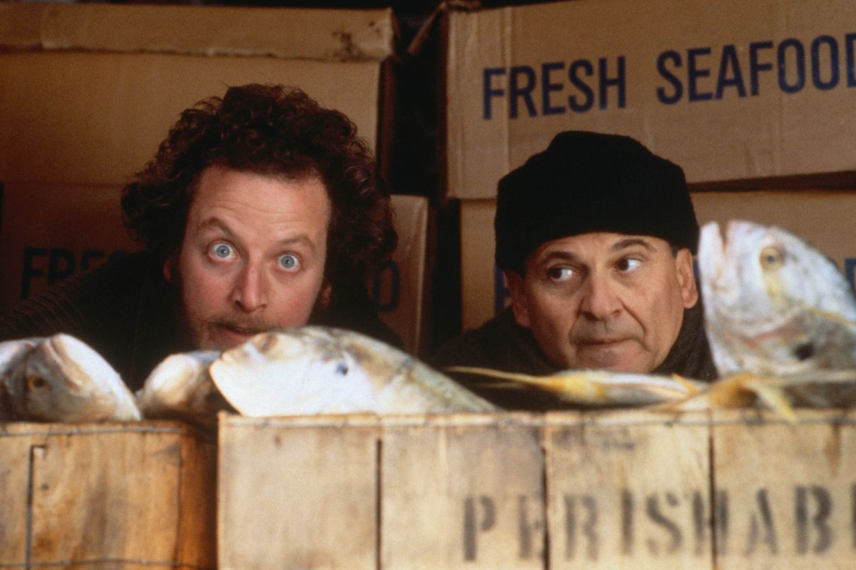 home alone villain unrecognisable 34 years after christmas film within christmas story villain crossword Home Alone Villain Unrecognisable 34 Years After Christmas Film within Christmas Story Villain Crossword