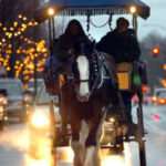 Horse Drawn Rides Delight Within Horse Drawn Carriages Delivering Christmas Trees Crossword