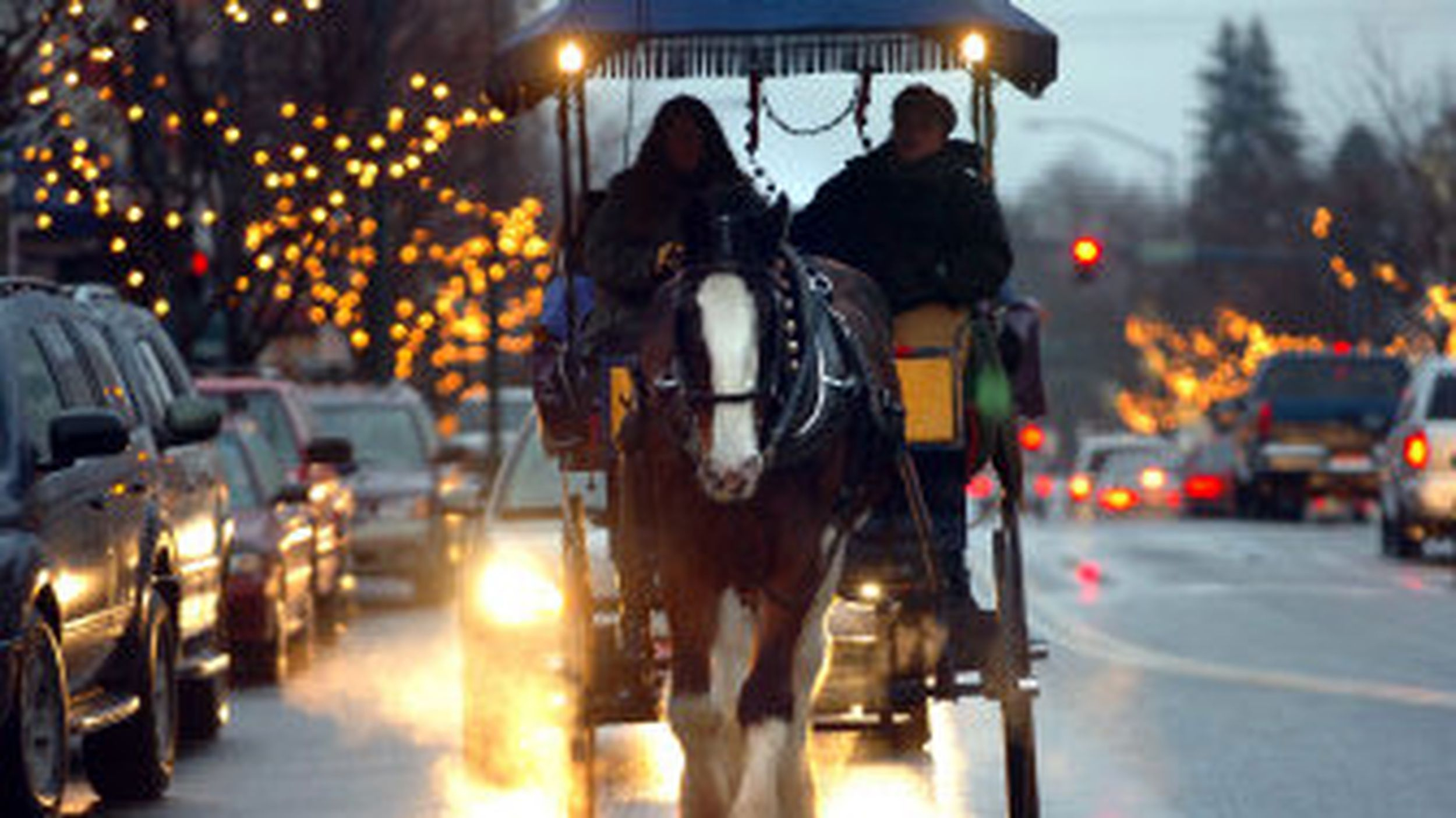 horse drawn rides delight within horse drawn carriages delivering christmas trees crossword Horse-Drawn Rides Delight within Horse Drawn Carriages Delivering Christmas Trees Crossword