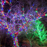 How Many Lights For Wrapping Trees? With Regard To Bulbs In Many Christmas Lights Crossword