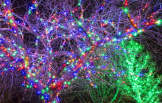 How Many Lights For Wrapping Trees? with regard to Bulbs in Many Christmas Lights Crossword