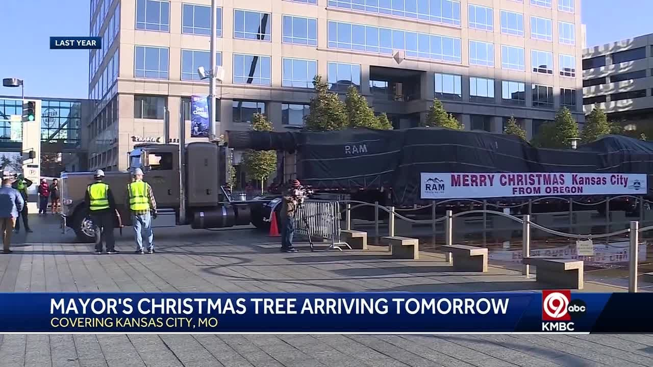 mayors christmas tree arriving in kansas city on thursday inside kansas city christmas tree crossword clue Mayor'S Christmas Tree Arriving In Kansas City On Thursday inside Kansas City Christmas Tree Crossword Clue