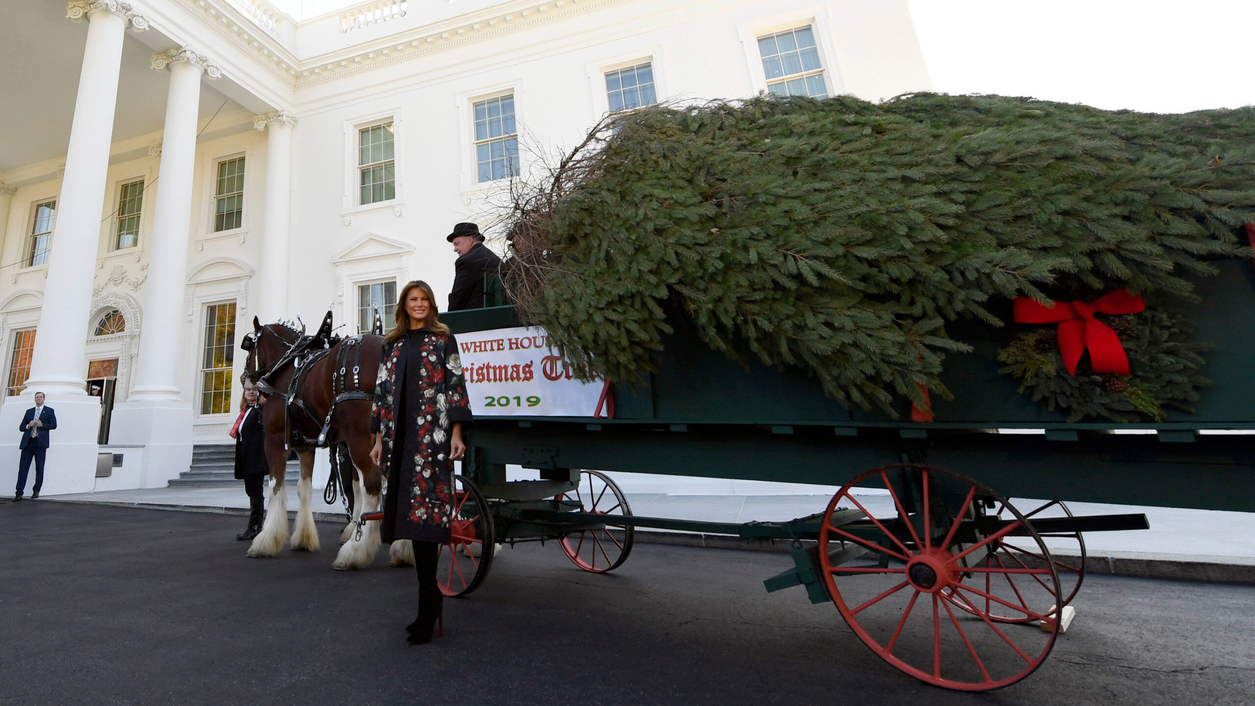 melania trump welcomes christmas tree to white house fox news with horse drawn carriages delivering christmas trees crossword scaled Melania Trump Welcomes Christmas Tree To White House | Fox News with Horse Drawn Carriages Delivering Christmas Trees Crossword