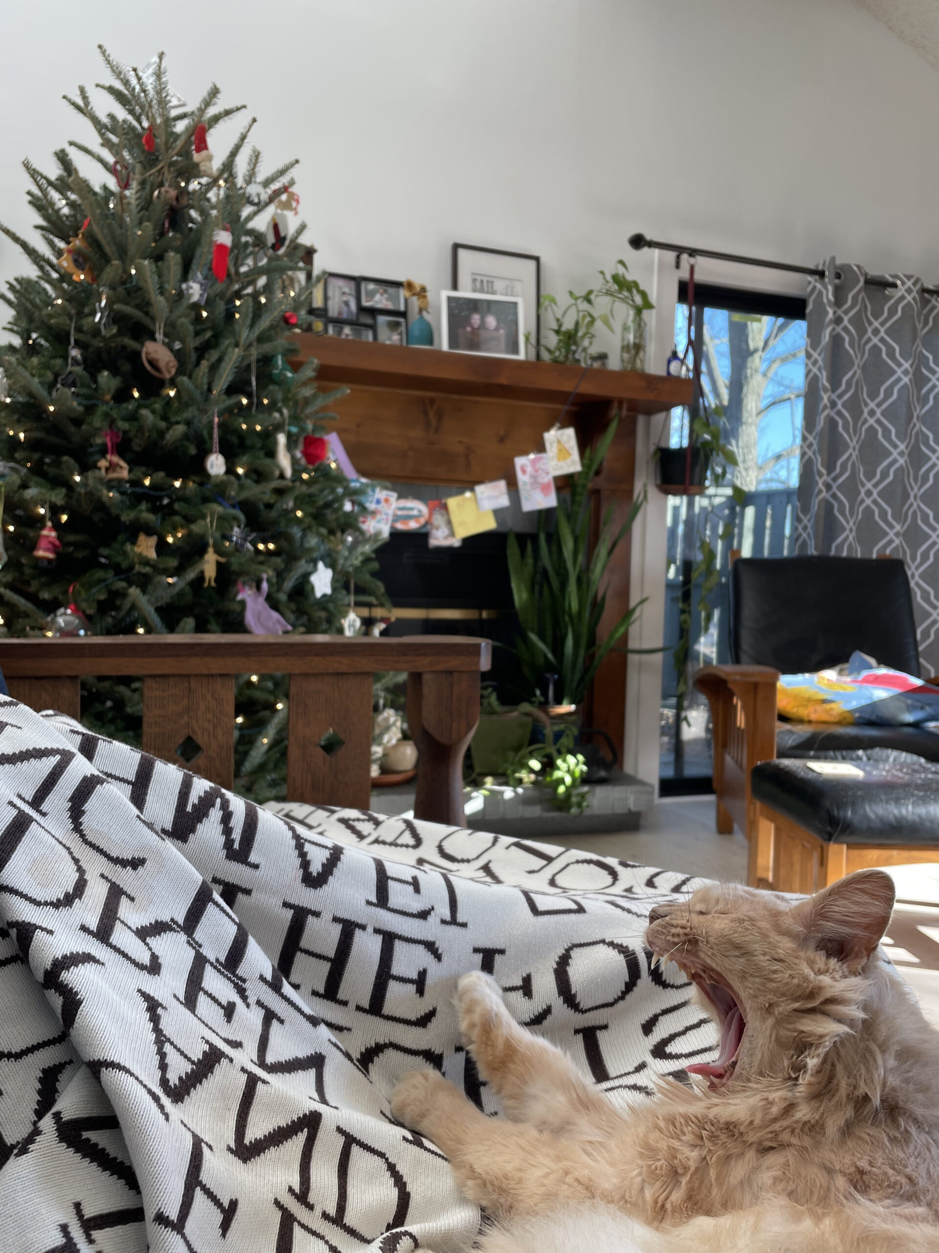 rex parker does the nyt crossword puzzle hungarian violinist inside christmas baubles often nyt crossword clue scaled Rex Parker Does The Nyt Crossword Puzzle: Hungarian Violinist inside Christmas Baubles Often Nyt Crossword Clue