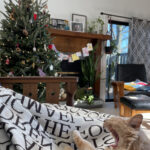 Rex Parker Does The Nyt Crossword Puzzle: Hungarian Violinist Throughout Gunk On A Christmas Tree Crossword