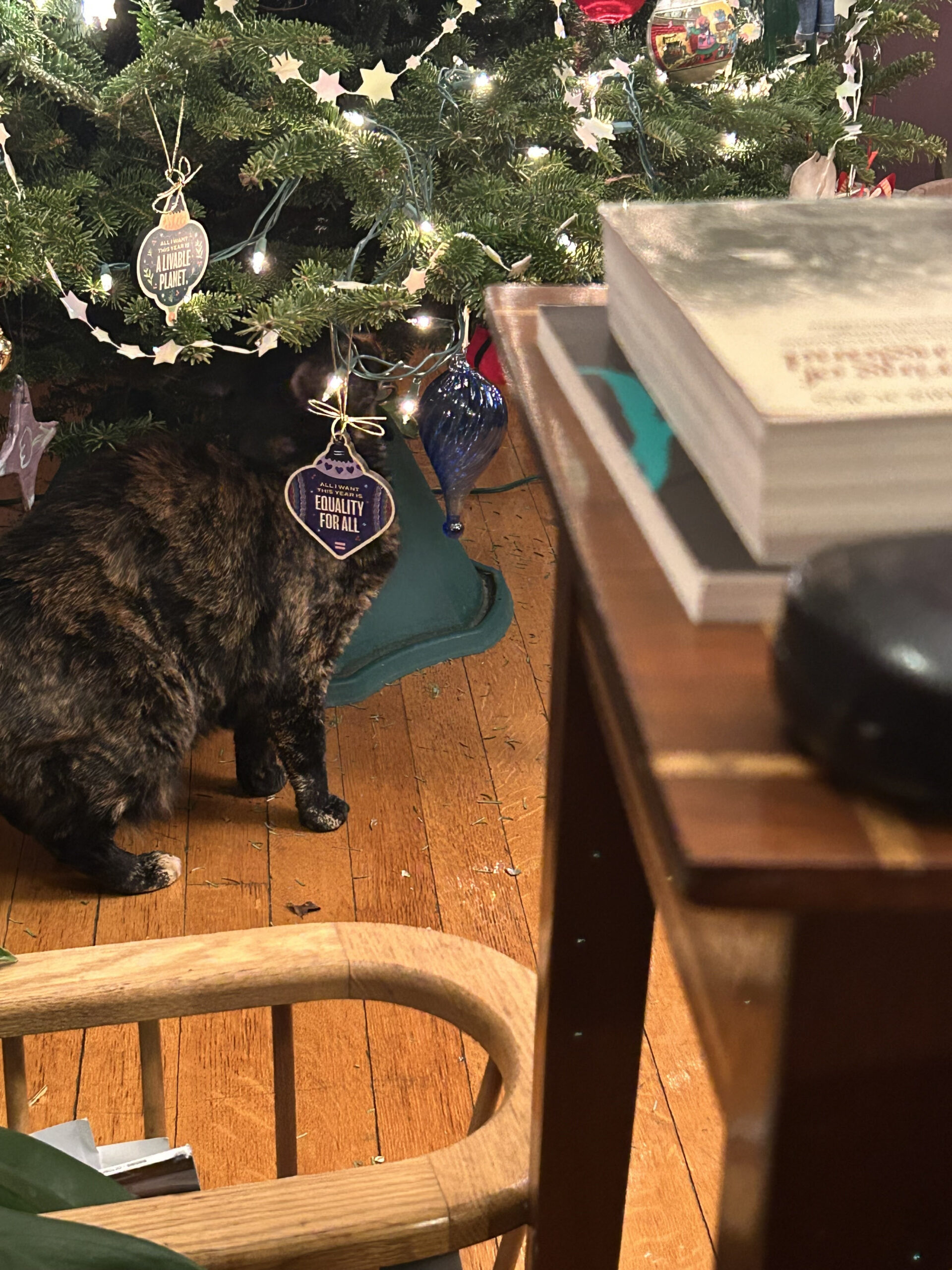 rex parker does the nyt crossword puzzle infamous bushranger within gunk on a christmas tree crossword scaled Rex Parker Does The Nyt Crossword Puzzle: Infamous Bushranger within Gunk on a Christmas Tree Crossword