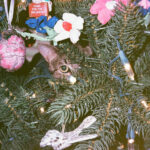 Rex Parker Does The Nyt Crossword Puzzle: Low Key Place For Inside Gunk On A Christmas Tree Crossword