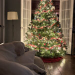 Rex Parker Does The Nyt Crossword Puzzle: Stiff Bristle Regarding Christmas Centerpiece Nyt Crossword Clue