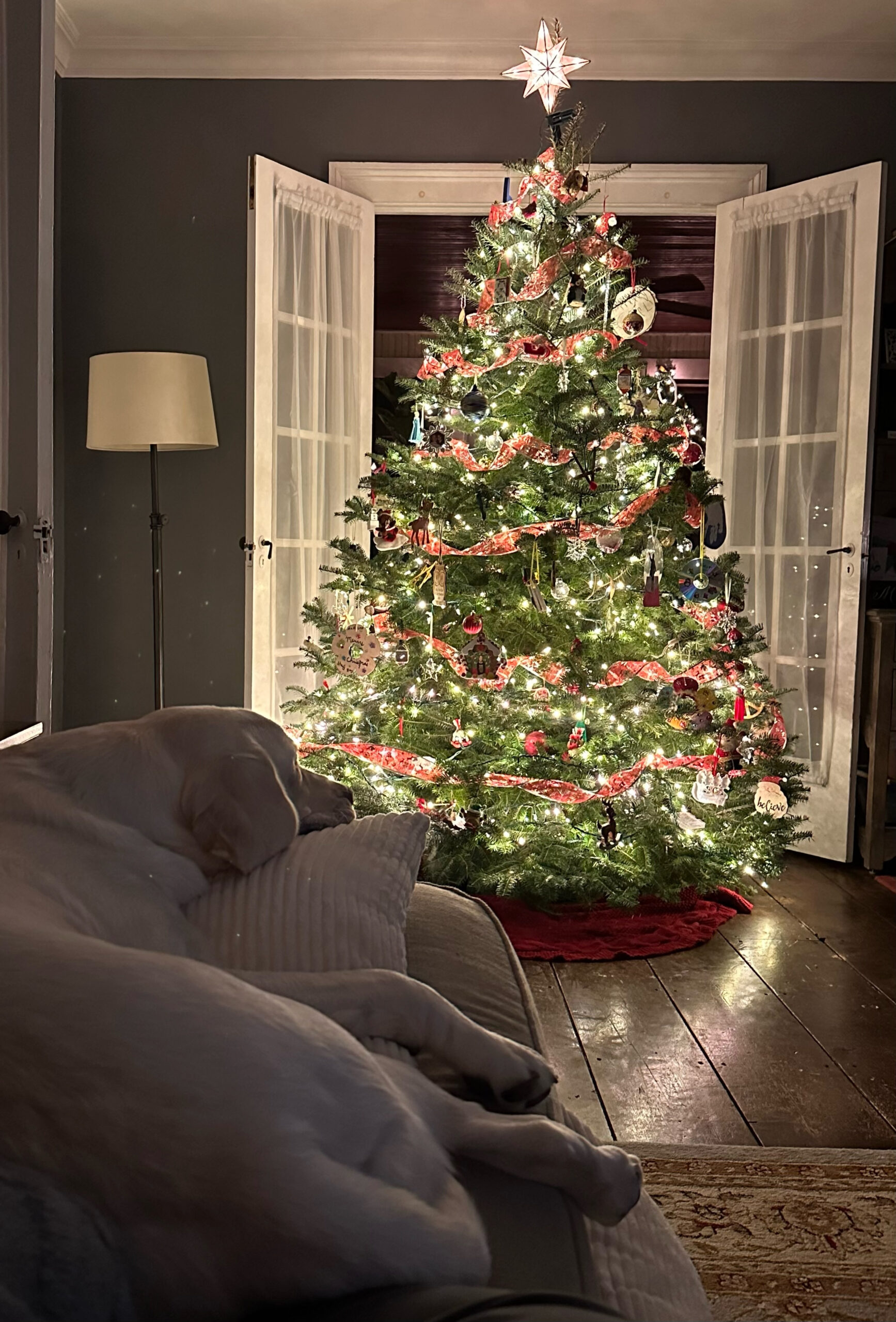 rex parker does the nyt crossword puzzle stiff bristle regarding christmas centerpiece nyt crossword clue scaled Rex Parker Does The Nyt Crossword Puzzle: Stiff Bristle regarding Christmas Centerpiece Nyt Crossword Clue
