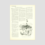 Simple Foreign Christmas | The New Yorker Inside Traditional Christmas Sentiment Crossword