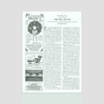 The Fall Of Fun | The New Yorker In On Christmas In 800 Ad Crossword Clue