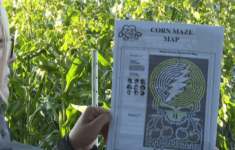 Traverse City'S Jacobs Farm Unveils Grateful Dead-Themed Corn Maze within Emmet Band Christmas Daily Themed Crossword